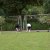 Bilder 2018 - Bundesjugendspiele